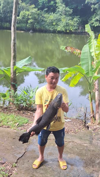 Hình ảnh Quán cà phê hồ câu hẻm 06 Nguyễn Thị Định phường thành nhất. Bmt - 3