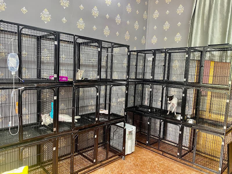 Hình ảnh Bệnh viện Thú y K-Pet - 2