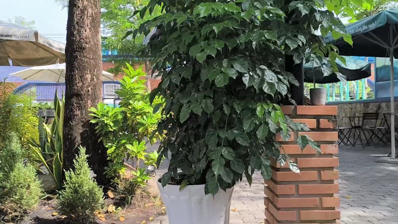 Hình ảnh KT Coffee House - 5