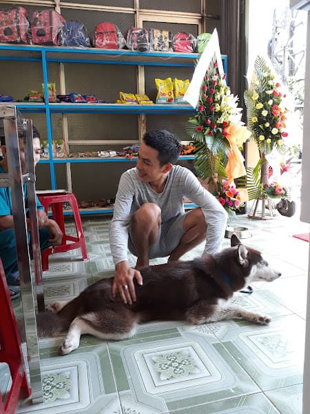 Phòng Khám Thú Y Quảng Ngãi MY PET