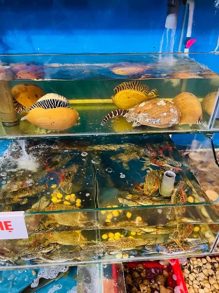 Hình ảnh Nhà Hàng Hải sản Làng Chài Kỳ Anh - 3