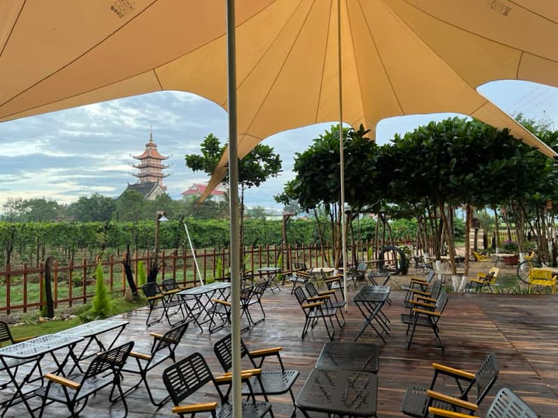 Hình ảnh Cafe Phước Hỷ - Hàng thông trăm tuổi GL - 9