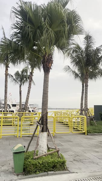 Hình ảnh Starbucks Cảng Quốc Tế Hạ Long - 3