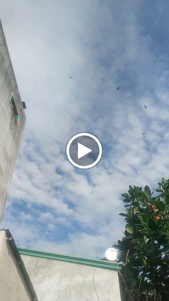 Hình ảnh Yến sào Phát Lộc - 2