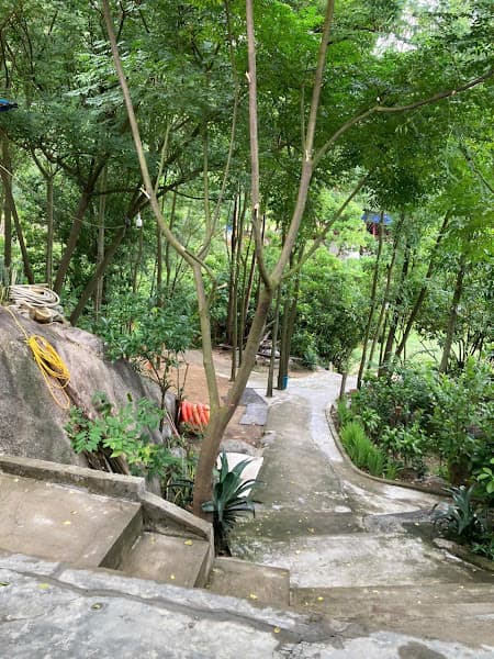 Hình ảnh Nhà hàng hải sản Đức Triêm - 4