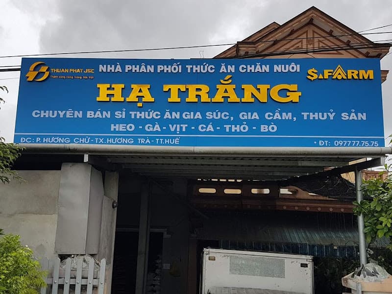 Ảnh bìa Càfê Mười
