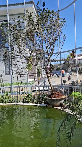 Hình ảnh Bánh Mướt - 3