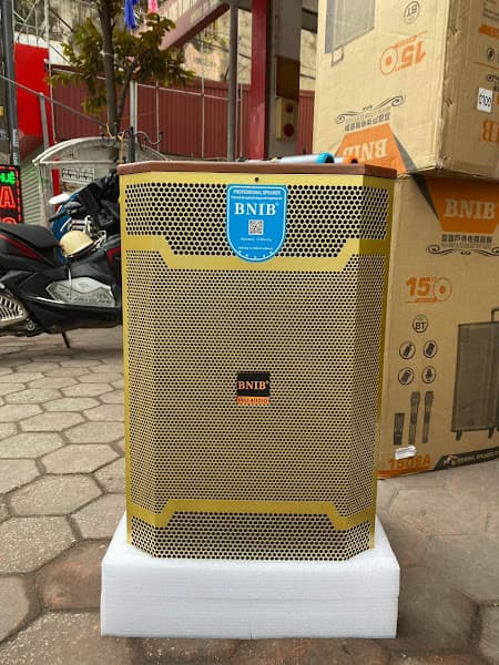 Hình ảnh loa kéo hải phòng - 3