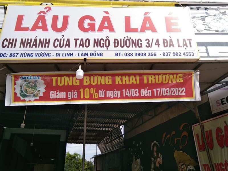 Lẫu Gà Lá É TAO NGỘ
