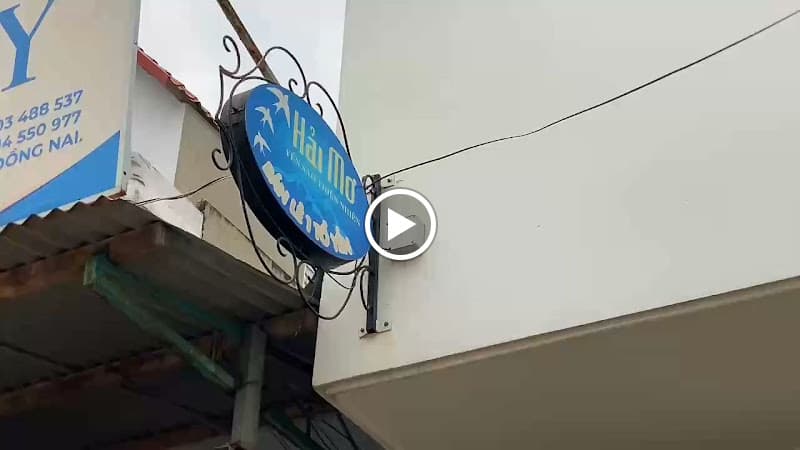 Hình ảnh Yến Sào Hải Mơ - 2