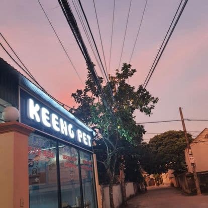 Hình ảnh Keeng Pet - Thú cưng Ninh Bình - 2