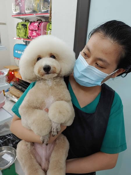 Hình ảnh NaPet - 4