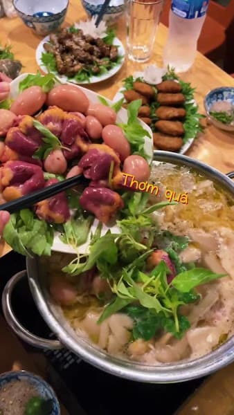 Hình ảnh Dê Núi Tràng An - 3