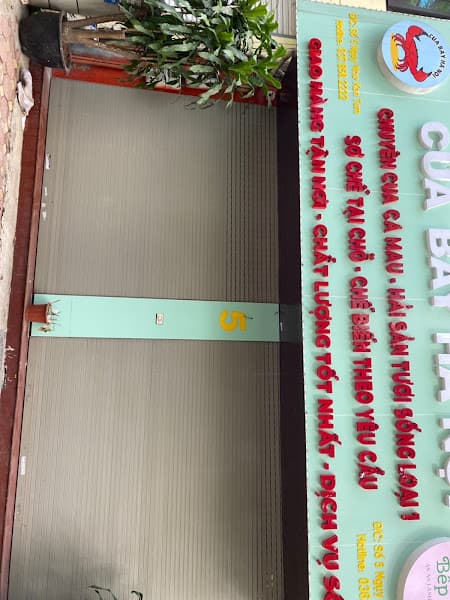 Hình ảnh CUA BAY HÀ NỘI - 3