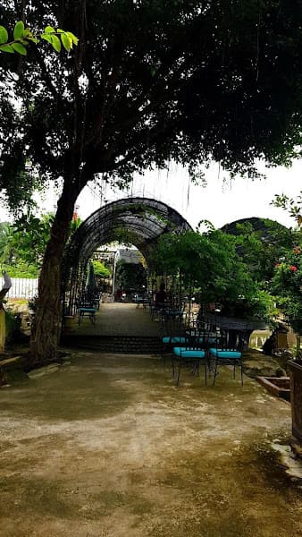 Hình ảnh Cà phê Chim cảnh Việt - 3