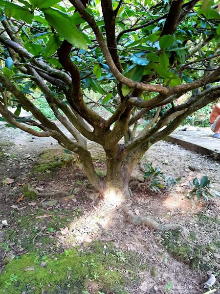 Khu di tích lịch sử - Địa điểm thành lập Tiểu đoàn Tây Đô