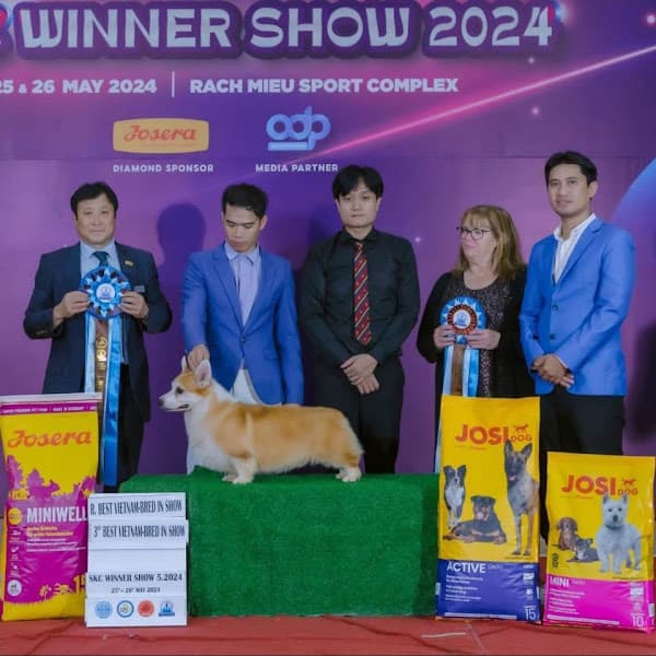 Hình ảnh Gia Khanh Pets - Cửa hàng chăm sóc và làm đẹp thú cưng - 3