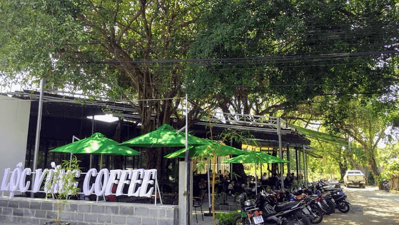 Hình ảnh Lộc Vừng Coffee Tây Ninh - 4