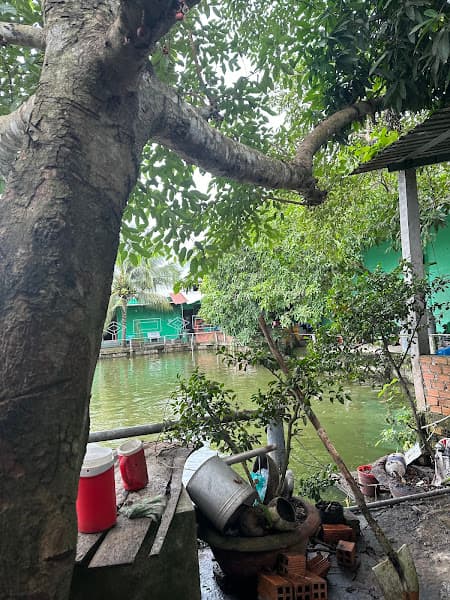 Hình ảnh Karaoke Hai lúa - 3