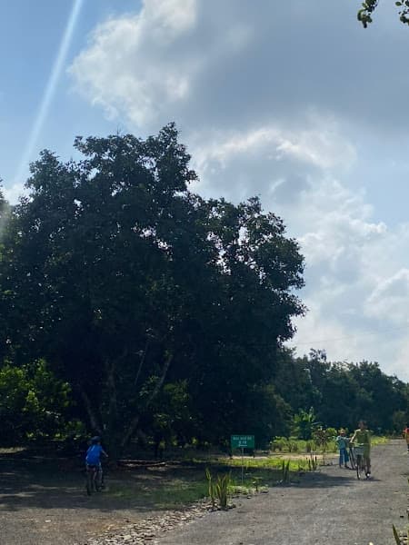 Hình ảnh Vườn Trái Cây Sáu Hùng - 2