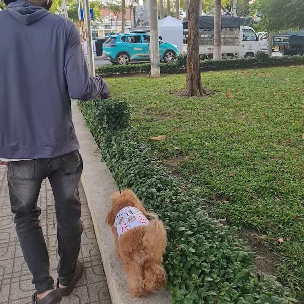 Hình ảnh Juli Pet Salon - Nha Trang - 3