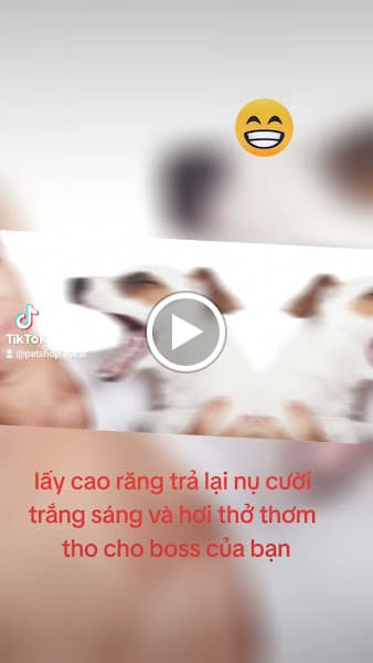 Hình ảnh PHÒNG KHÁM THÚ Y CHÓ MÈO - PET & VET SHOP EAKAR - 2