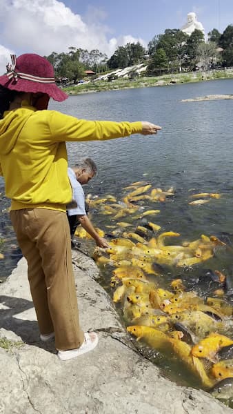 Hình ảnh Bánh xèo Hoàng Kim Núi Cấm - 5