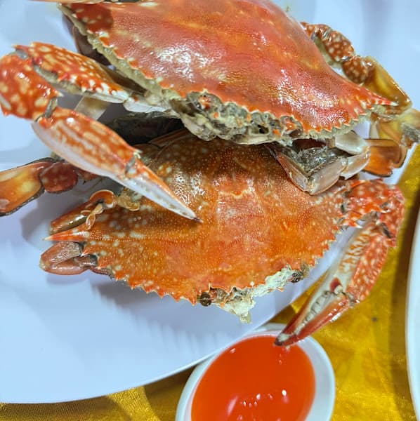 Hình ảnh Nhà hàng Trường Thúy hải sản Thiên Cầm - địa chỉ thưởng thức hải sản uy tín ngon chất lượng giá bình dân tại Thiên Cầm - 5