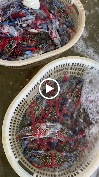 Hình ảnh Đại lý Hải Sản Vinh Tranh - 3