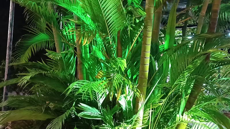 Hình ảnh Moca coffee QL80 - 5