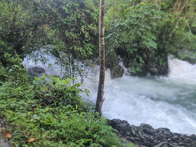 Hình ảnh Suối Lê Nin - 3