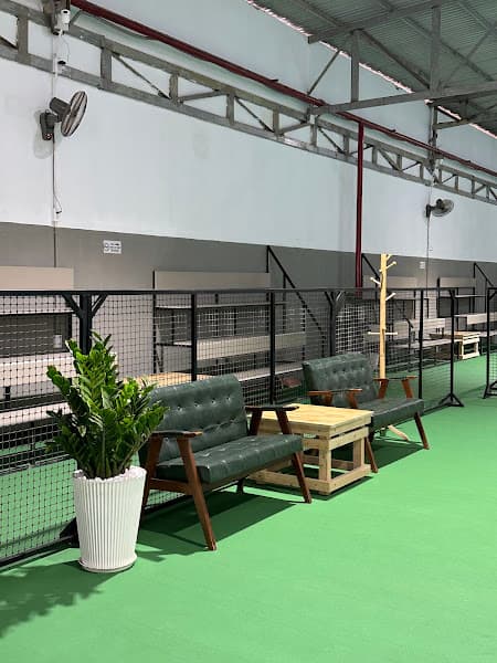 Hình ảnh Dalat 1500 Pickleball Club - 5
