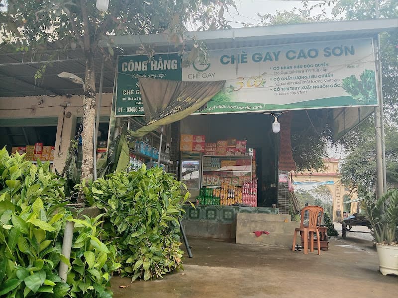 Ảnh bìa Chợ Cây Quéo
