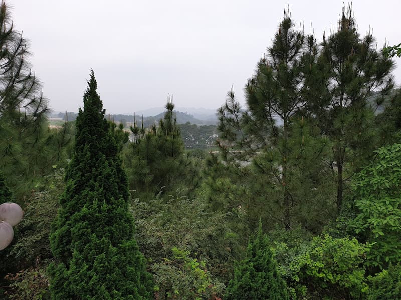 Hình ảnh Khu di tích Trần Phú - 3