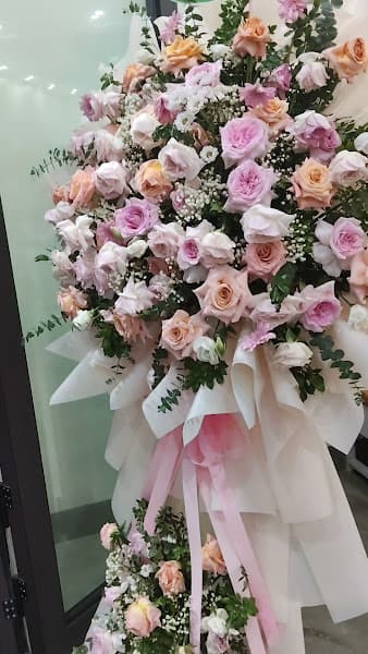 Hình ảnh Andy Quan - 3