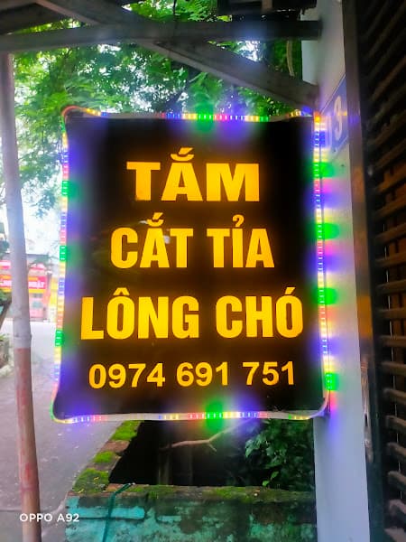 Hình ảnh Spa thú cưng Tuyên Quang - Tiệm cắt tỉa lông chó ( Phạm Nương) - 3