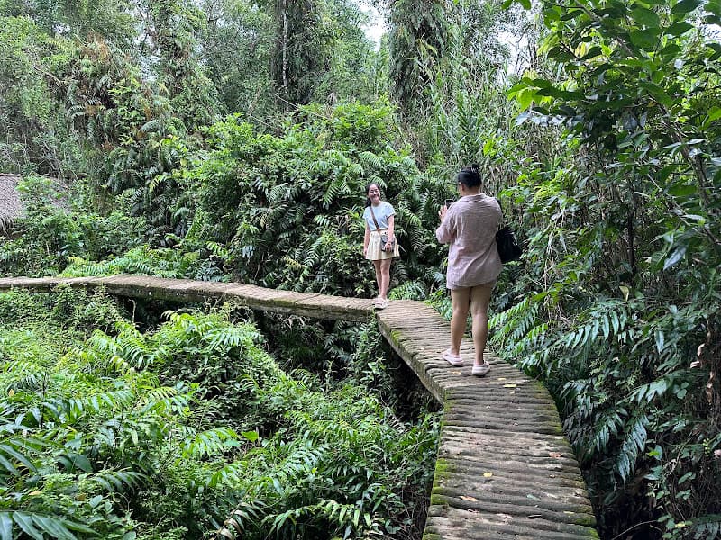 Hình ảnh Khu Di tích Xẻo Quít - 4