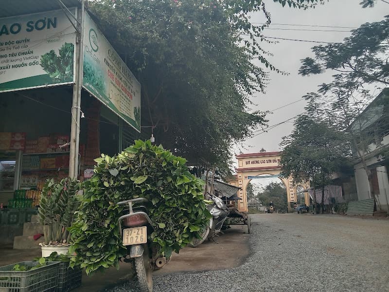 Hình ảnh Chợ Cây Quéo - 3