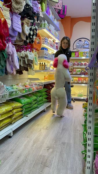 Hình ảnh ILU PET - Tiệm Thú Cưng, Spa & Khách Sạn Chó Mèo - CS3 An Trạch - 3