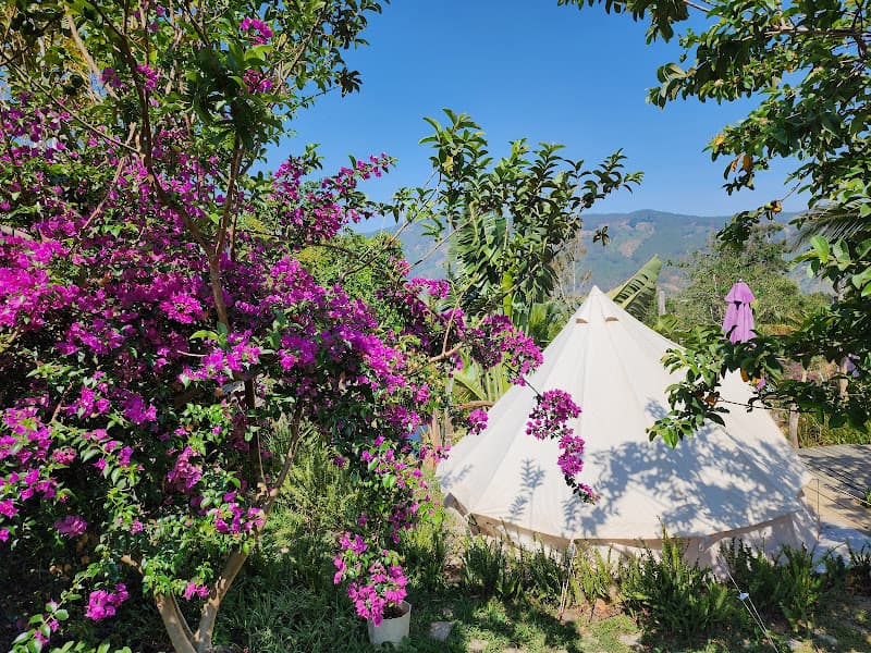 Hình ảnh Kala Village - 4