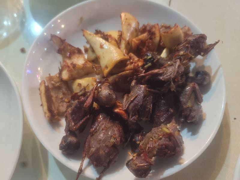 Hình ảnh Dé Đắng - 3