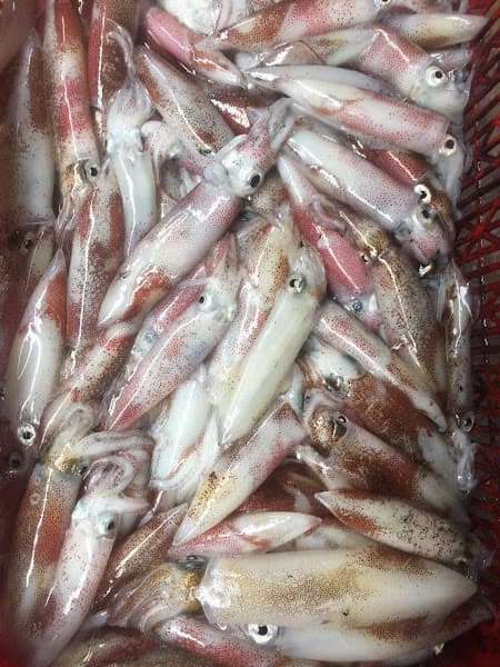 Hình ảnh Nhà Hàng Thủy Đơ - 6