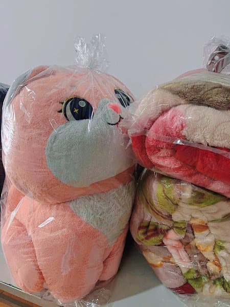 Tiệm giặt ủi Phương Thanh - Tiệm giặt ủi Pleiku Gia Lai