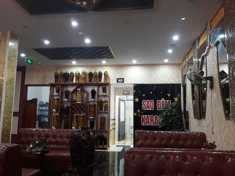 Hình ảnh Karaoke Sao Đêm - 4