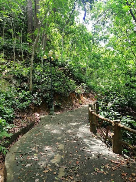 Hình ảnh Động Long Quang - 4