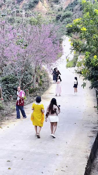 Hình ảnh Mộng Đào Nguyên - 4