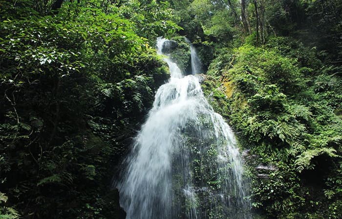 Hình ảnh Vườn Quốc gia Vũ Quang - 4