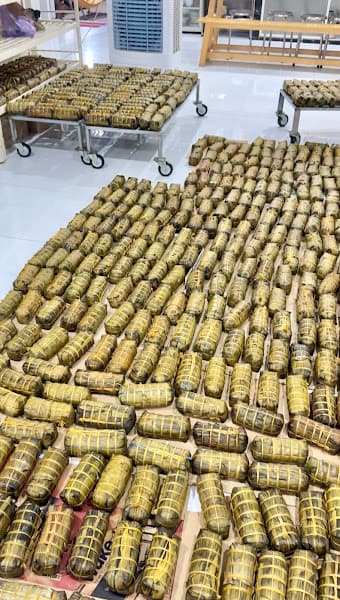 Hình ảnh Bánh Tét Tư Đẹp - 5