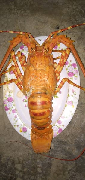 Hình ảnh Quán ăn Xuân Bắc - 2