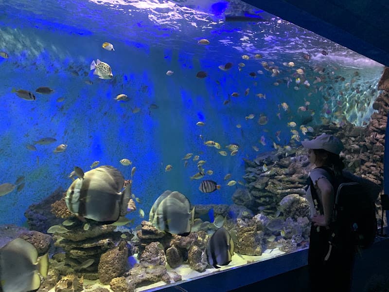 Hình ảnh Bảo Tàng Hải Dương Học - 6